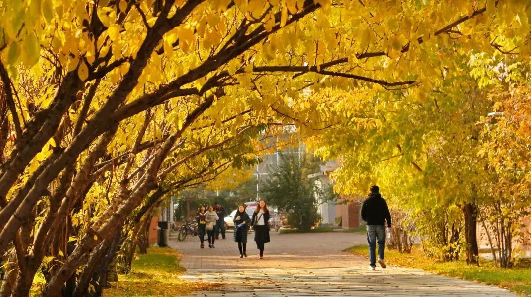 2022年吉林动画学院“专升本”招生简章(图6) 1-22041516301CT.jpg